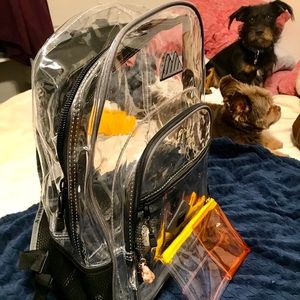 Clear Plastic Backpack